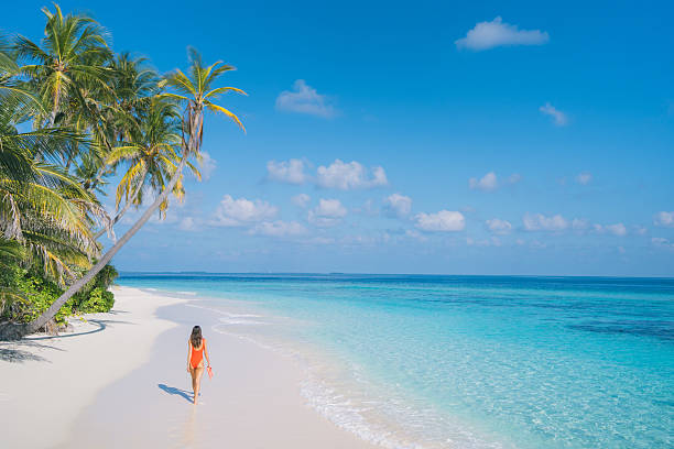 Island Escape